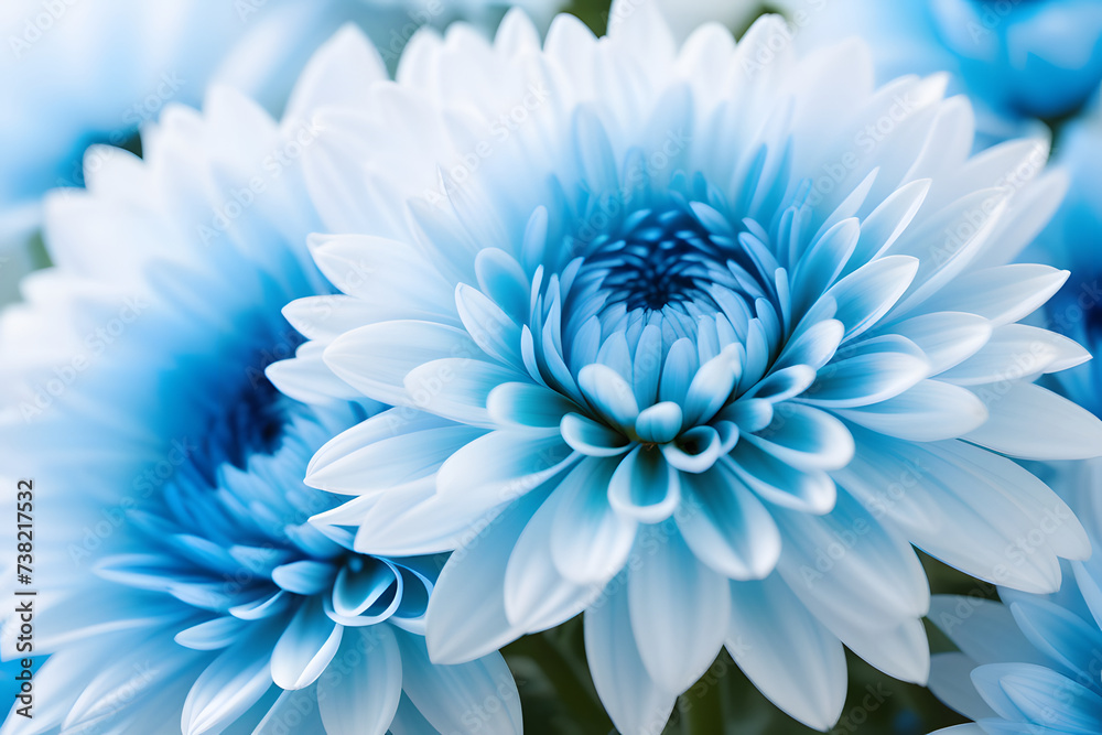 Close-Up of Blue and White Flower