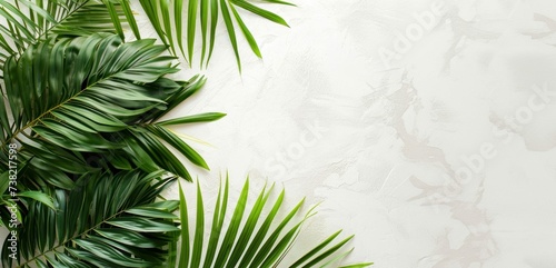 Palm Leaves White Plastered Wall Background Card Palm Sunday Easter With Space photo