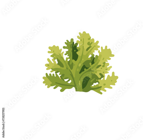 Vector illustration underwater world, green sea plants on white background for sticker, print, poster, postcard