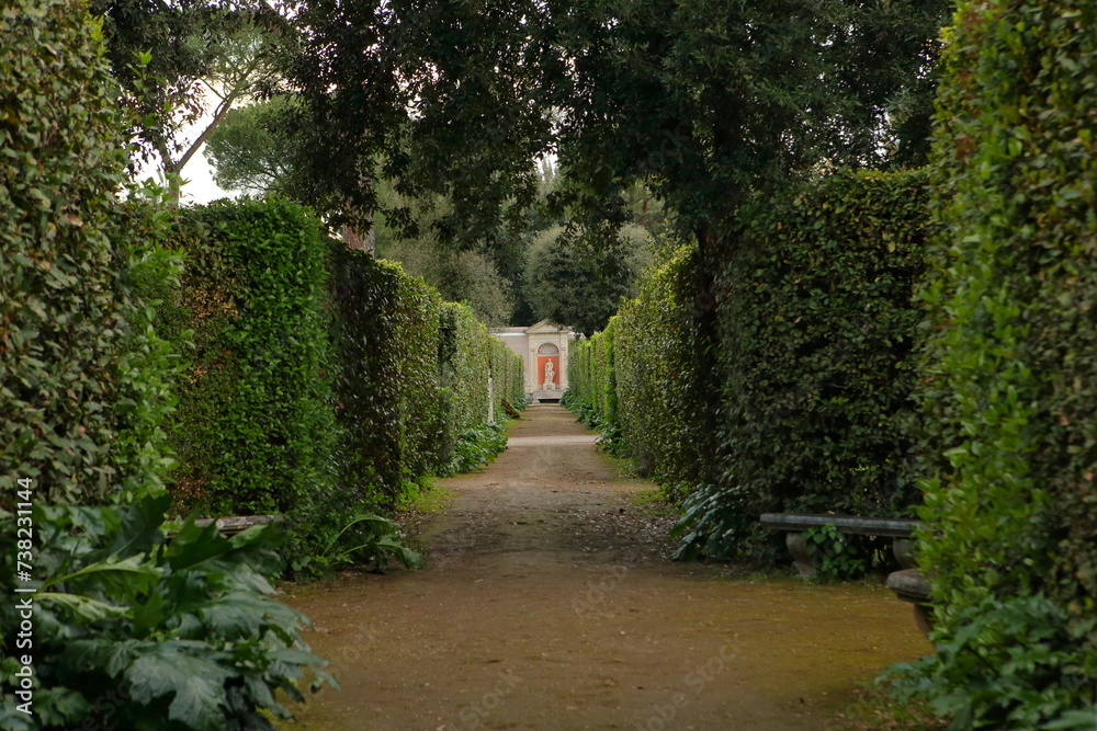 path in the garden in Rome in Italy in Europe.