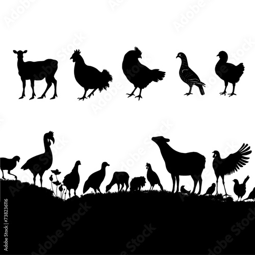 Animals in Silhouette