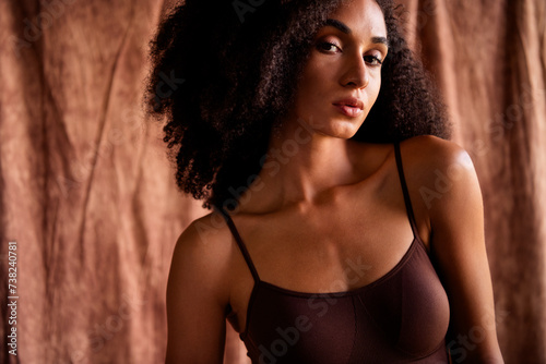 Photo portrait of stunning lovely young lady look camera sensual body no retouch wear brown lingerie isolated on studio cloth background