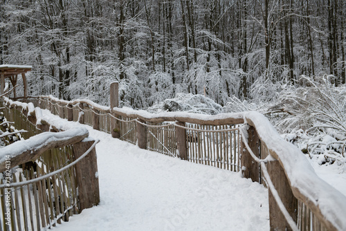 Snowy Wooden Bridge in the Heart of a Winter Forest