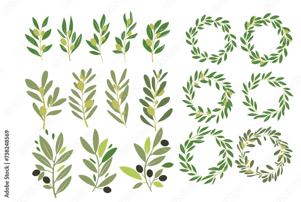 Simple vector olive branch illustration for your design
