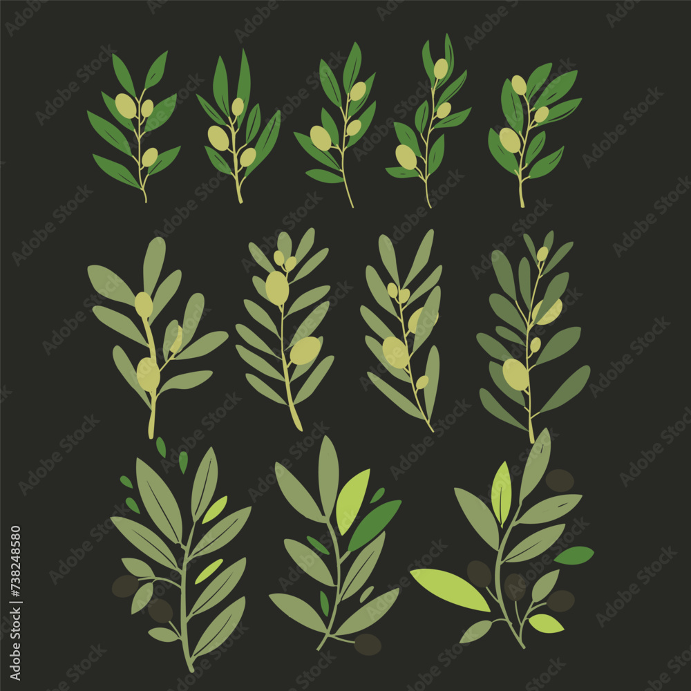 Vector olive brunch set. simple illustration for your design