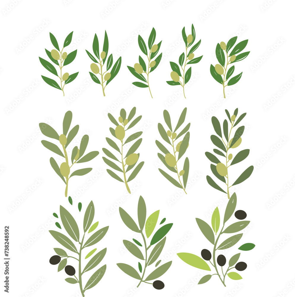 Simple vector olive branch illustration for your design Simple vector olive branch illustration for your design