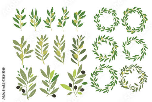 Simple vector olive branch illustration for your design