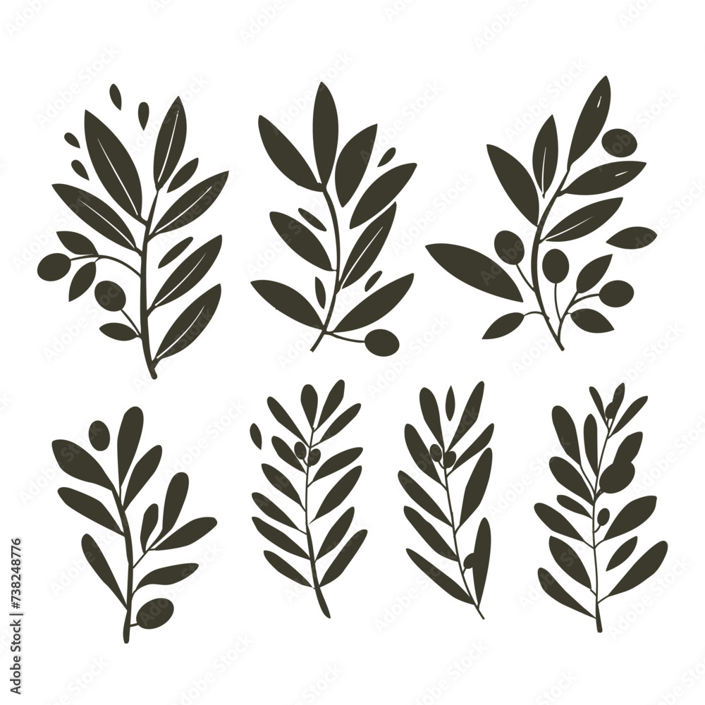 Vector olive brunch set. simple illustration for your design Vector olive brunch set. simple illustration for your design