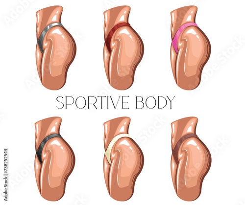Sportive woman body wearing bikini side view. Women's sexy underwear. HAND DRAWN vector. Elegant bikinis on an athletic body. Lingerie Model Close up sexy female ass in bikini