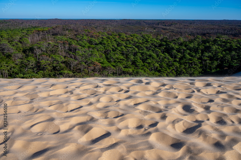 Fototapeta premium Golden sand and blue sky, Dune of Pilat tallest sand dune in Europe located in La Teste-de-Buch in Arcachon Bay, France southwest of Bordeaux along France's Atlantic coastline