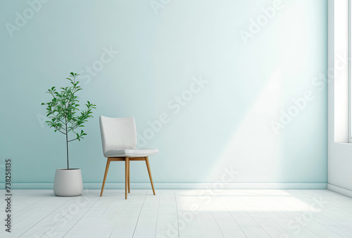 A Chair and a Potted Plant in a Room