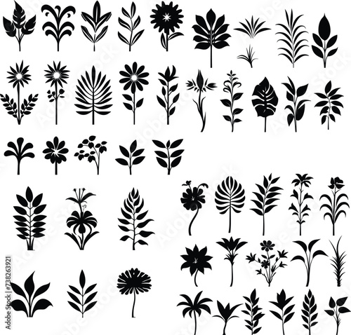 black and white tropical Flower silhouette vector illustration plant leaf isolated summer decoration botanical hibiscus © Design Your Story
