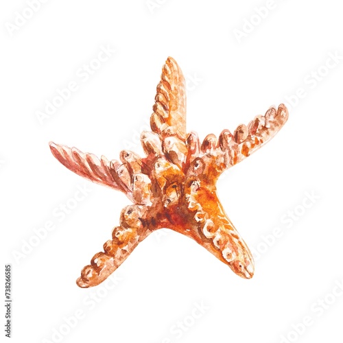 Starfish watercolor. Illustration on a marine theme isolated on a white background. Cards, invitations, labels, travel banners and flyers, covers.