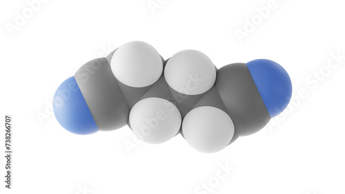 adiponitrile molecule, precursor polymer nylon 66, molecular structure, isolated 3d model van der Waals photo