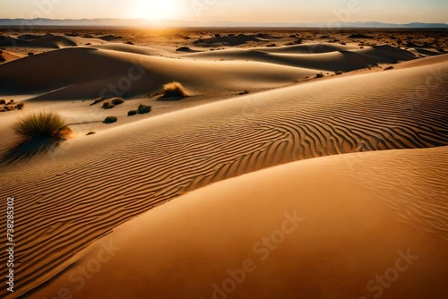 sand dunes in the desert