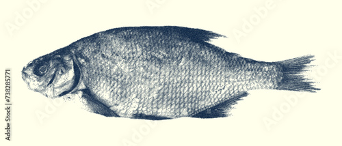 Fish with noise effect in retro collage style. Grain effect and stippling. Vector dots texture.