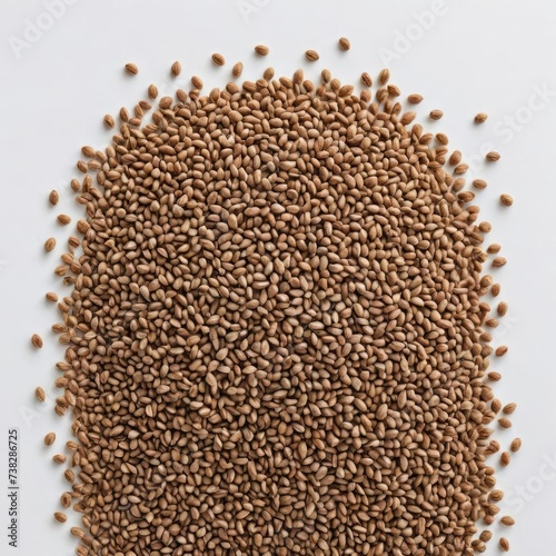 buckwheat on the white background 