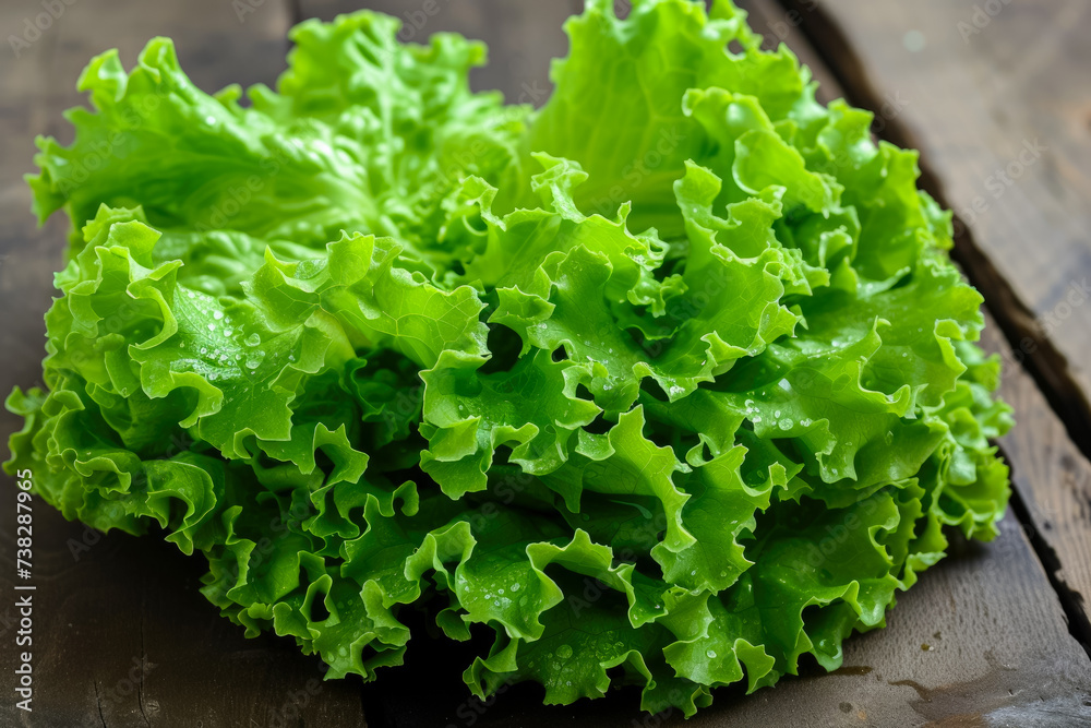 lettuce with a green color and a leafy shape and a salad overlay on the edge lettuce with a green color and a leafy shape and a salad overlay on the edge