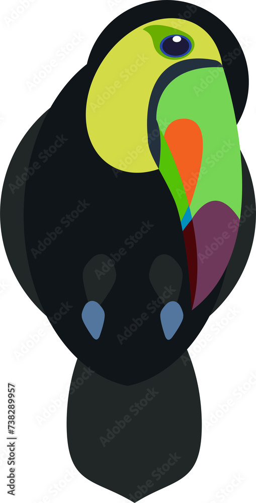 Fototapeta premium toucan bird on transparent, png . Rainbow toucan with a large and colorful bill . Tropical jungle exotic bird. Animals.