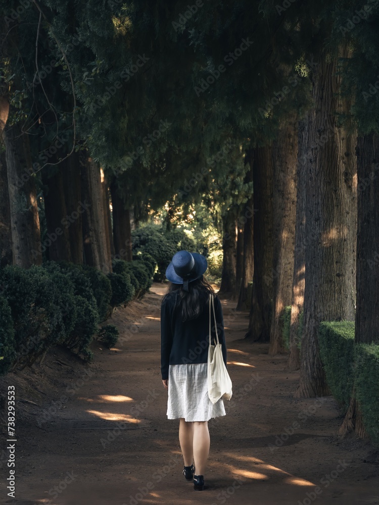A beautiful young woman from the back in a summer dress and hat walking through the Alhambra Generalife gardens A beautiful young woman from the back in a summer dress and hat walking through the Alhambra Generalife gardens