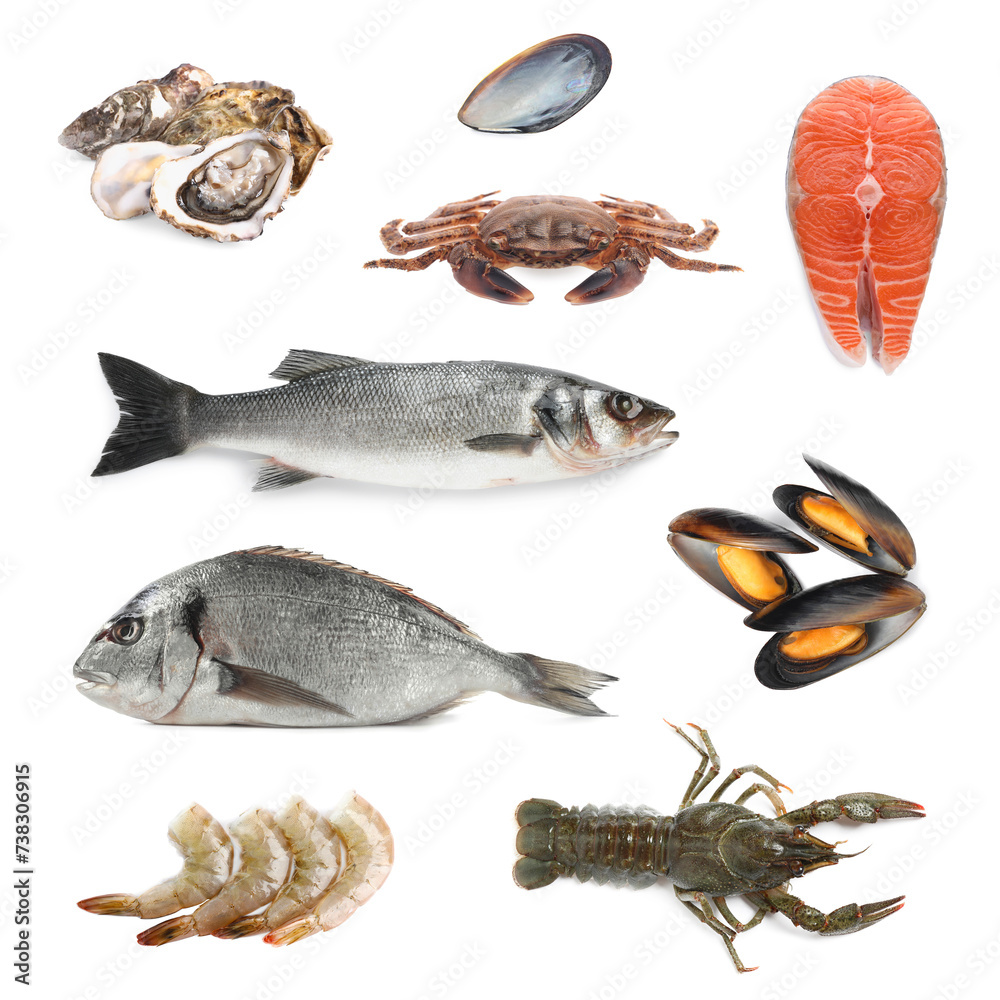 Dorado fish and other seafood isolated on white, set Dorado fish and other seafood isolated on white, set