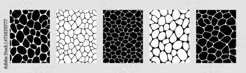 Black and white voronoi backgrounds vector set. Irregular geometric cells backdrops. Stones template covers collection for web tiles and brochures, science cards and interior designs.