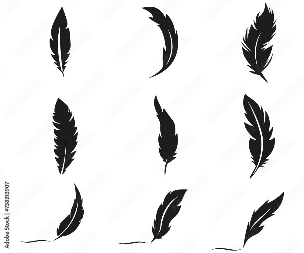 Feather collection silhouette, black quill detailed vector illustration Feather collection silhouette, black quill detailed vector illustration