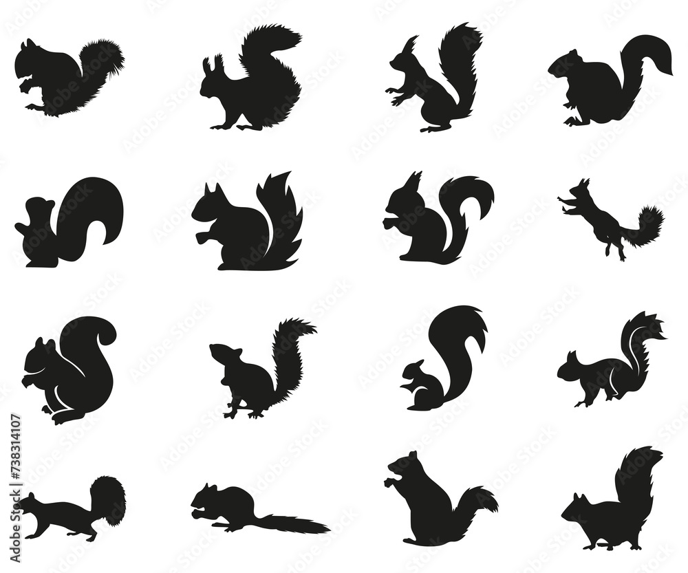 squirrel collection silhouette, mammal  wildlife animal, vector illustration