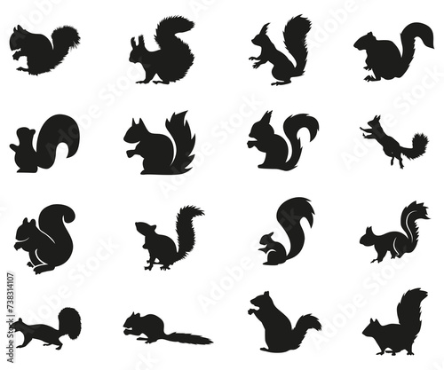 squirrel collection silhouette  mammal  wildlife animal  vector illustration