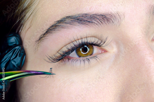 Ojo de mujer joven con extensiones de pestañas punto a punto o por punto. Aplicación de pestañas postizas individuales, pelo a pelo o 1x1 con efecto rímel, pinza curvatura c y guantes de látex.  photo