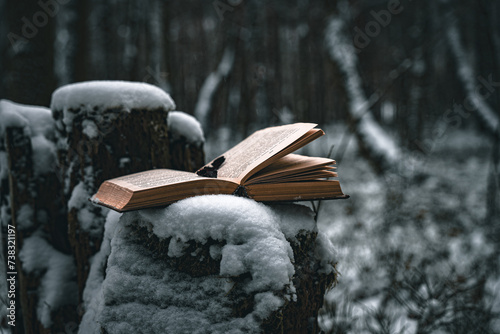 old book in the forest in winter under the snow