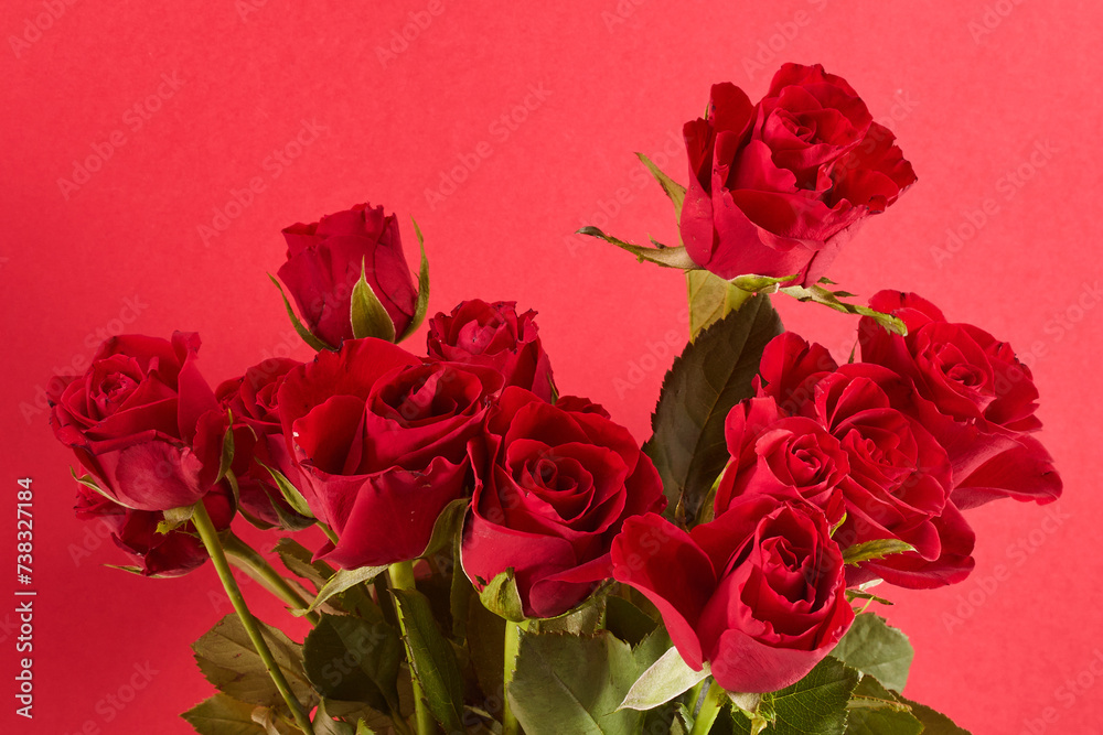 Bouquet of roses on red background. Valentines day, 8 march or mother day floral gift.