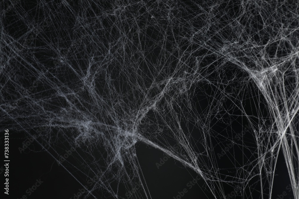 Creepy white spider web on black background Creepy white spider web on black background
