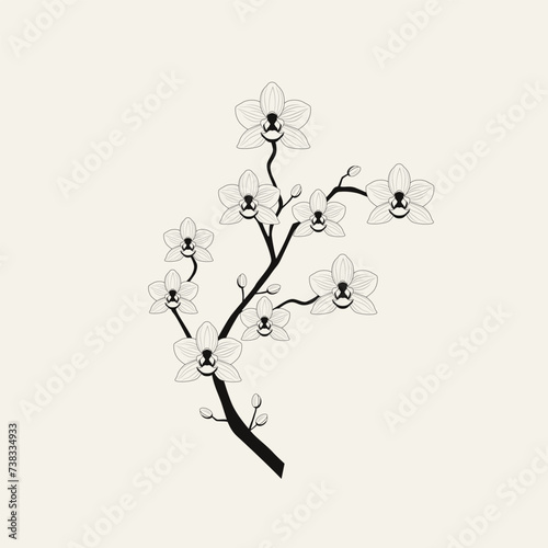 Beautiful orchid branch with blossoming flowers. Botanical vector illustration