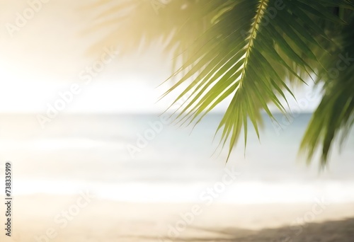 A close-up of green palm leaves with a beach background