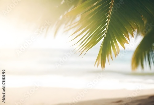 A close-up of green palm leaves with a beach background