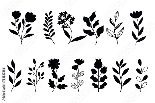Leaves, flowers and branches silhouettes set. Wild plants and garden flowers silhouettes on white background photo