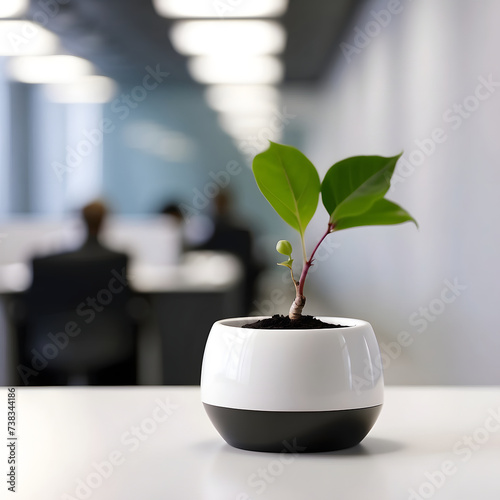 flower on the background of a spacious color, minimalism