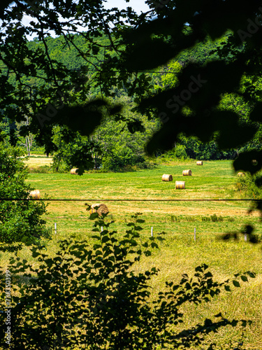 Countryside view from the woods in Normandy © Ludovic