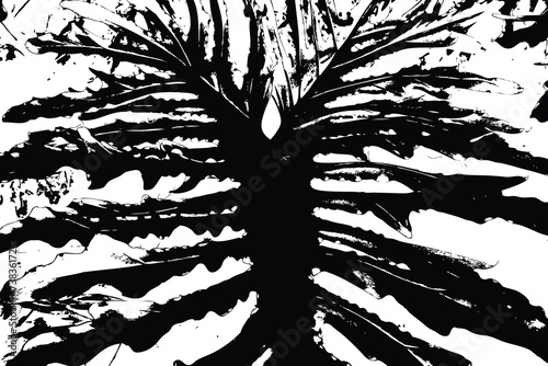 Vector trace of Split Leaf Philodendron ferns. Texture of tropical species plant. Black and white tropical flora. Exotic plant trace texture.