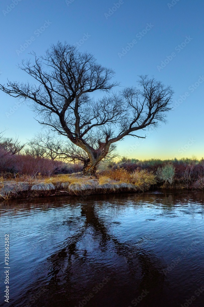 Serene Owens River: Inyo County, California (4K Ultra HD) Serene Owens River: Inyo County, California (4K Ultra HD)