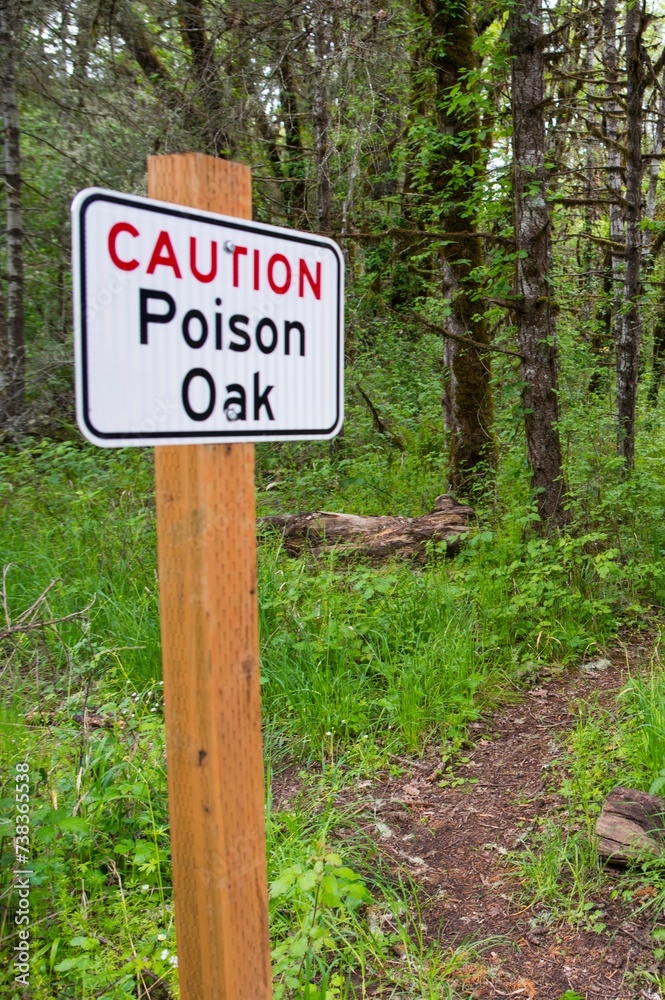 Proceed with Caution: 4K Ultra HD Image of Warning Sign for Oak Poison on Footpath Trail