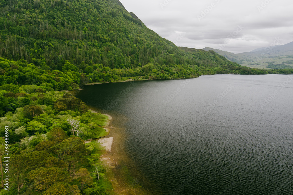 Aerial view of large pine trees on a banks of Muckross Lake, also called Middle Lake or The Torc, located in Killarney National Park, County Kerry, Ireland
