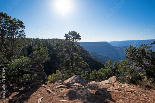 Scenic view of Grand Canyon. Overlook panoramic view National Park in Arizona. Valley view at dusk.