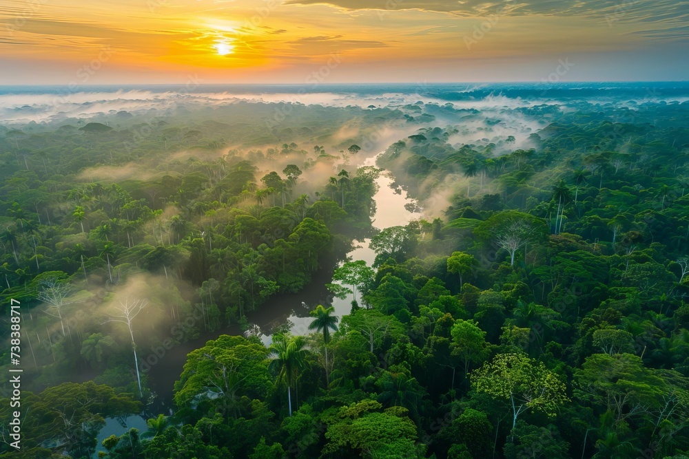 Lush amazon rainforest captured from above at dawn The essence of adventure and exploration in nature's untouched beauty. Lush amazon rainforest captured from above at dawn The essence of adventure and exploration in nature's untouched beauty.