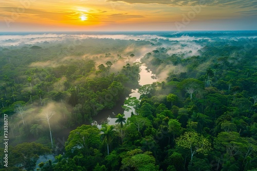 Lush amazon rainforest captured from above at dawn The essence of adventure and exploration in nature s untouched beauty.