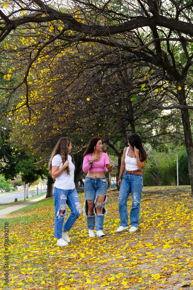 Fototapeta premium group of happy female friends having conversation and walking in field full of yellow flowers during summer