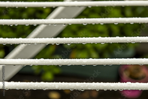 Parallel lines of a white plastic folding clothesline full of rainwater drops located on a terrace full of green plants