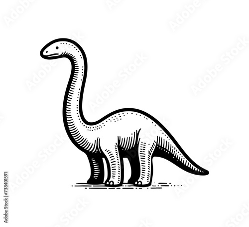 Brachiosaurus hand drawn illustration vector graphic © AriaMuhammads