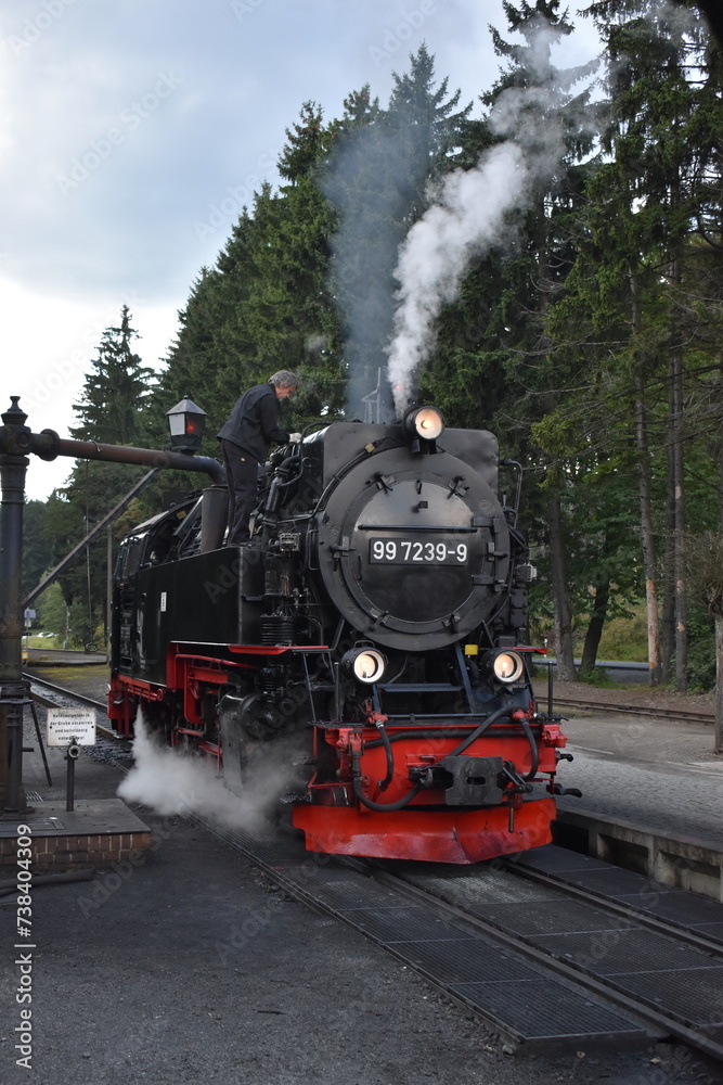 Obraz premium Brockenbahn, Schmalspurbahn